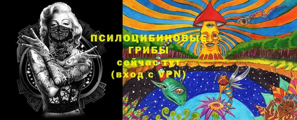 ГАЛЛЮЦИНОГЕННЫЕ ГРИБЫ Верхний Тагил