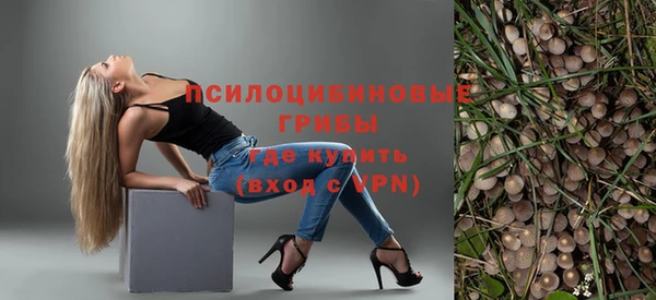 а пвп мука Верея