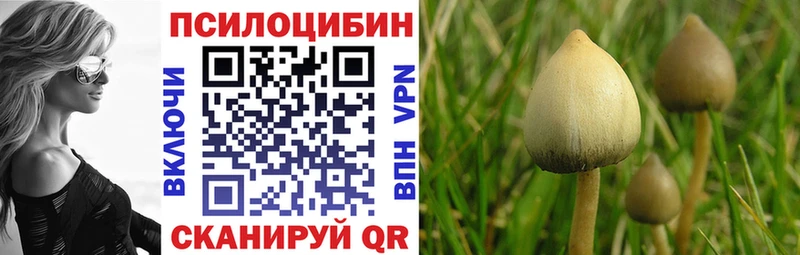 Галлюциногенные грибы Cubensis где купить shop клад Дмитриев